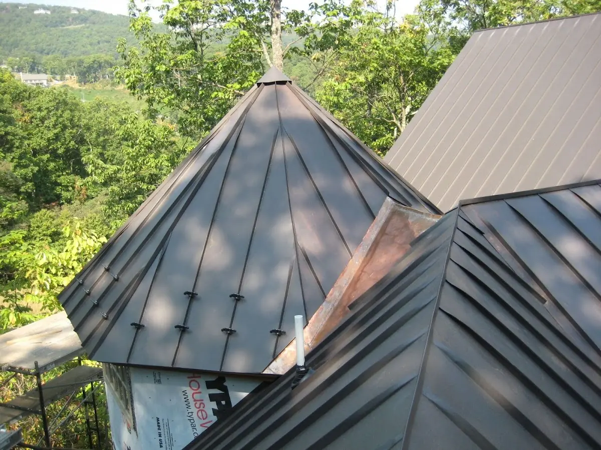 Professional Gutter Cleaning by Craftsman Roofing in Potrero Valley